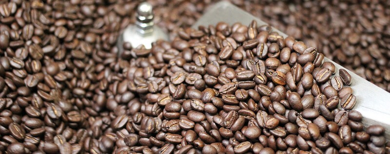 Les meilleurs programmes de récompenses café du Québec